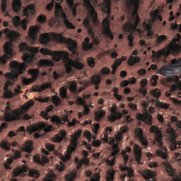 Crawl - One week game jam based on the prompt: Throwback